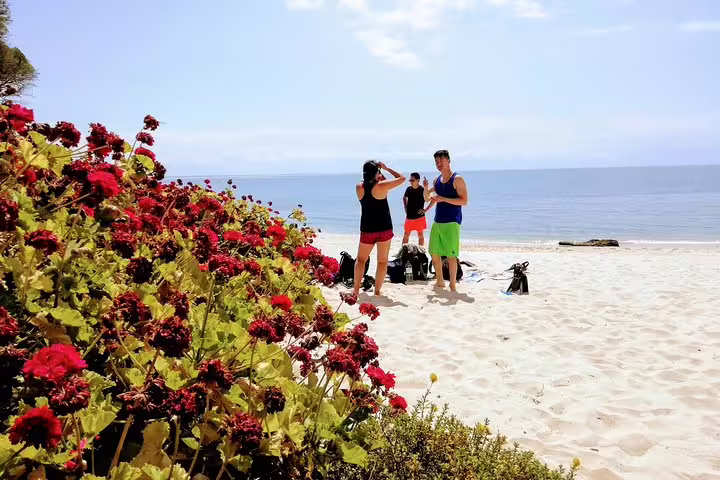 Beachgoers prepare for an Arrábida snorkeling adventure near Lisbon, surrounded by vibrant flowers and clear ocean views.