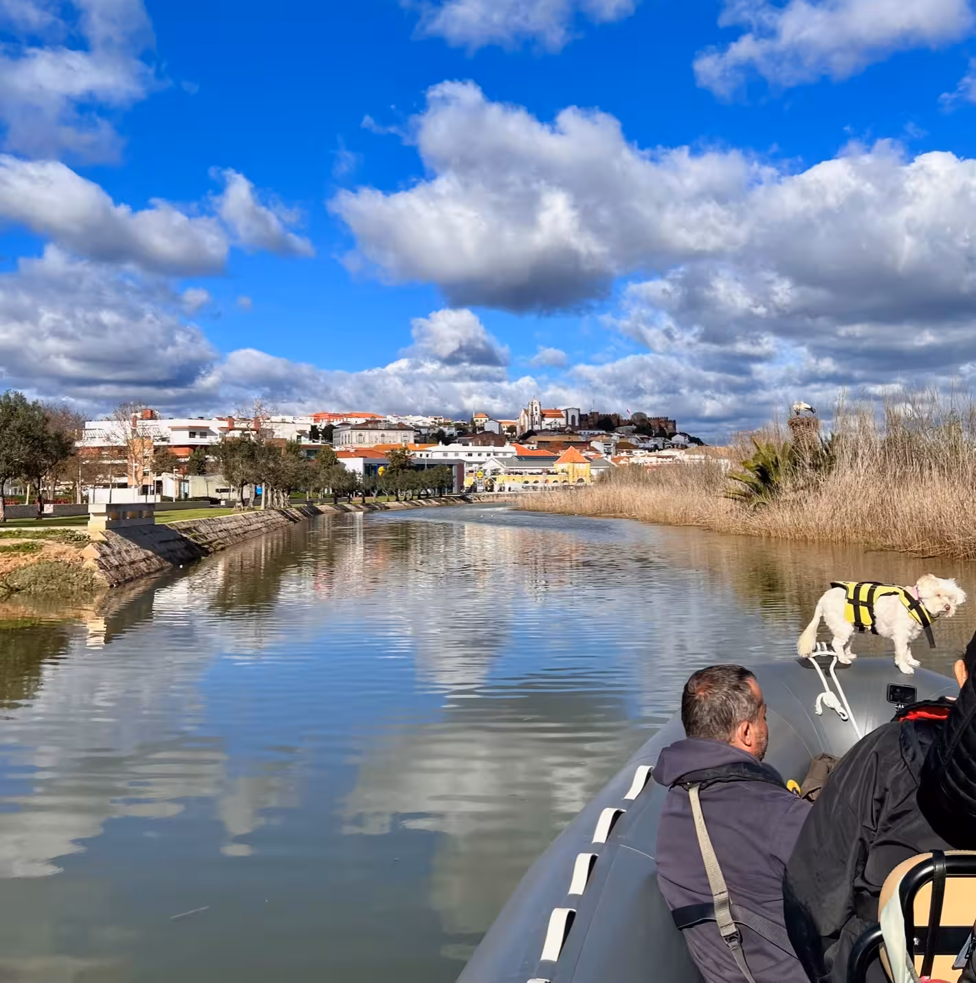 Boat with passengers and a small dog sails up the Arade River towards the historic hilltop town of Silves in the Algarve