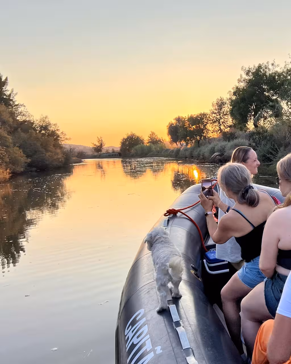 Guests and a small dog enjoy a golden sunset cruise on the Arade River to Silves during a relaxed Algarve private boat tour