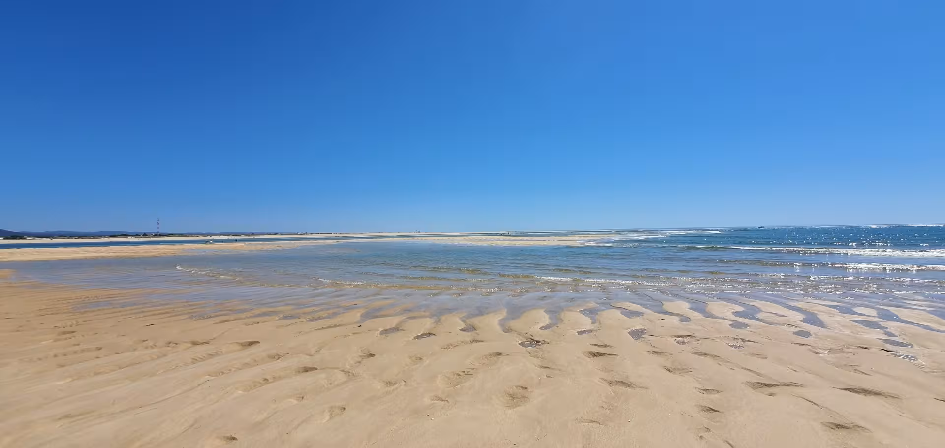 Golden sands and clear blue skies on Armona Island, perfect for a serene beach getaway in Portugal's Algarve.