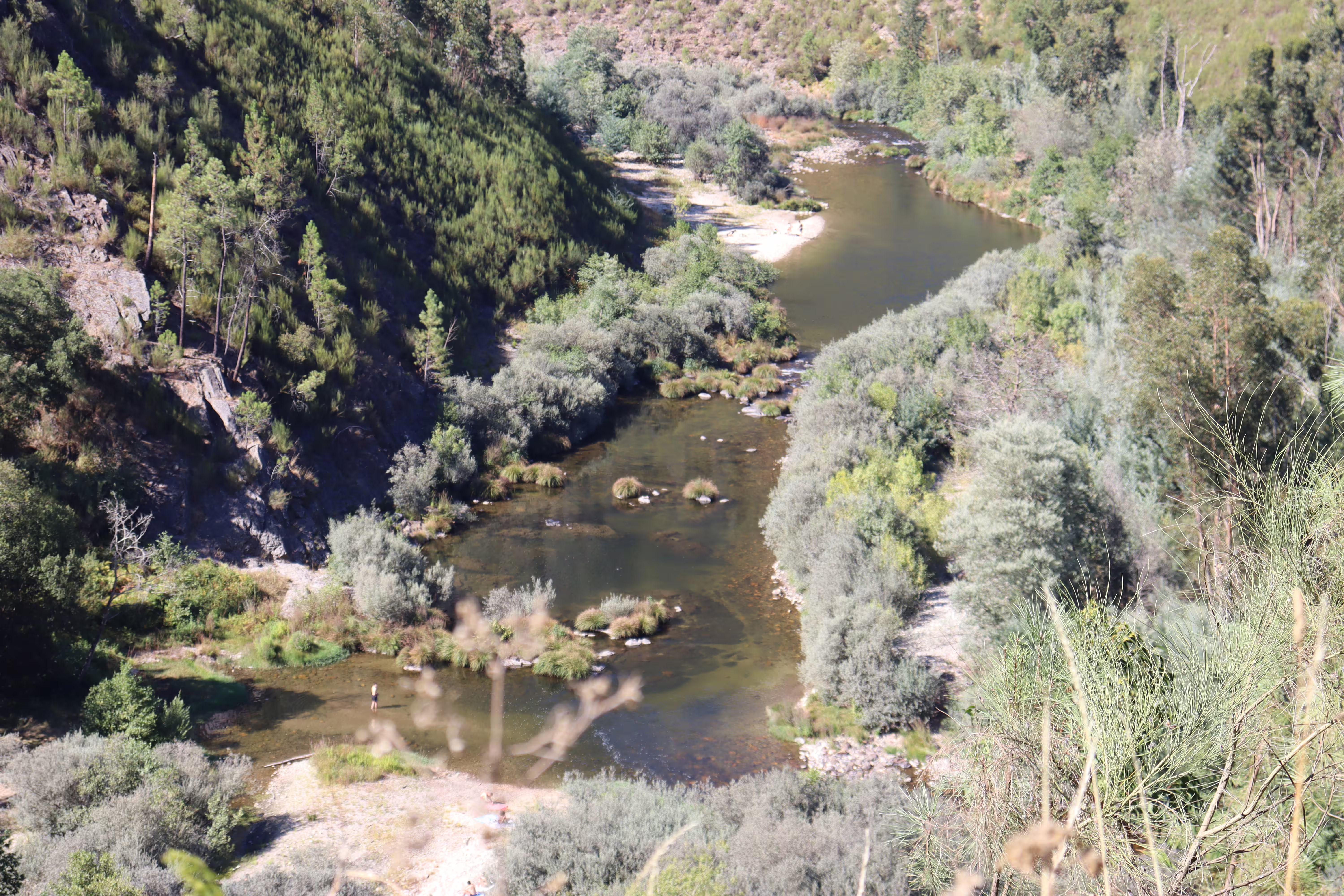A scenic view of the lush Paiva Walkways along a winding river, highlighting nature's beauty on the Arouca 516 Bridge tour.