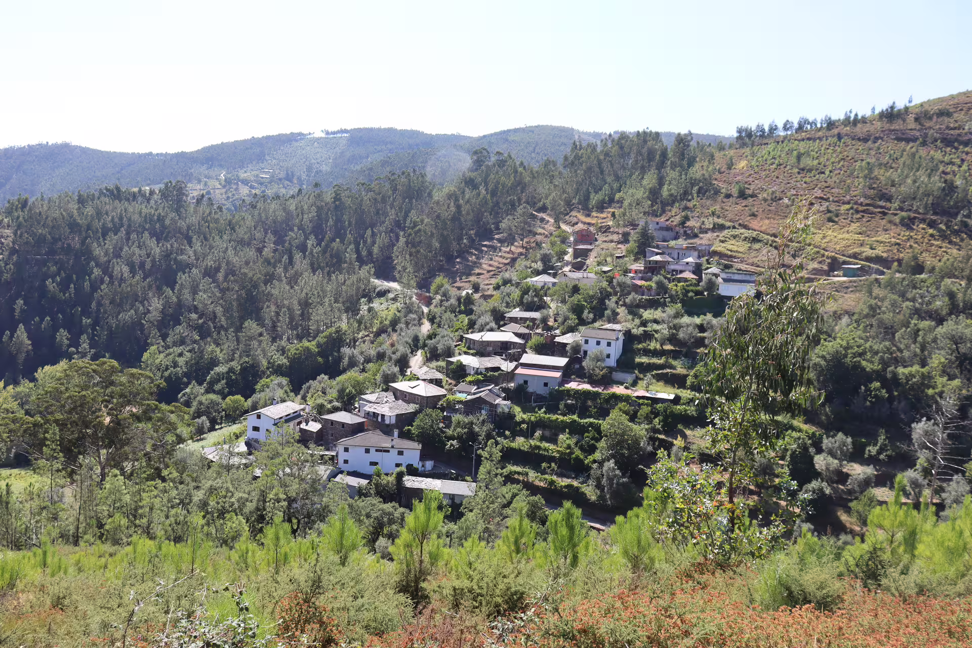 Scenic view of lush green hills and quaint village near Arouca 516 Bridge and Paiva Walkways, perfect for nature tours.