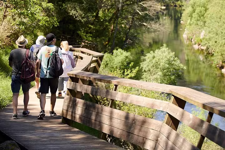 Group of hikers enjoy a leisurely walk along the picturesque Paiva Walkways, bordered by serene river and forest.