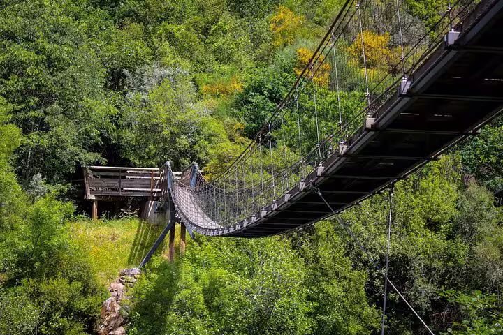 Close-up of a rustic suspension bridge surrounded by dense greenery at Paiva Walkways.