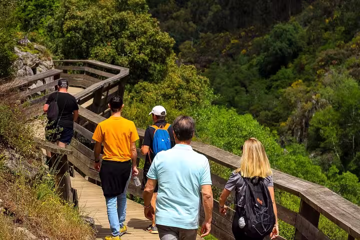Hikers enjoying the scenic Paiva Walkways amidst lush greenery in the Arouca Geopark, Portugal.