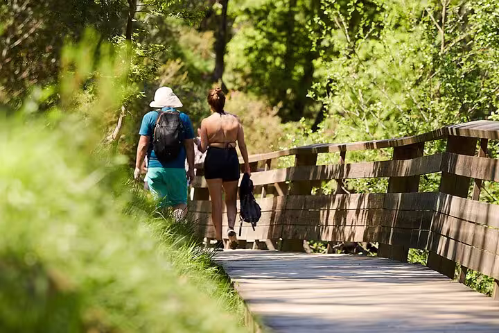 Visitors strolling through the green, serene Paiva Walkways on a sunny day, experiencing nature on the 516 Arouca Suspension Bridge tour.