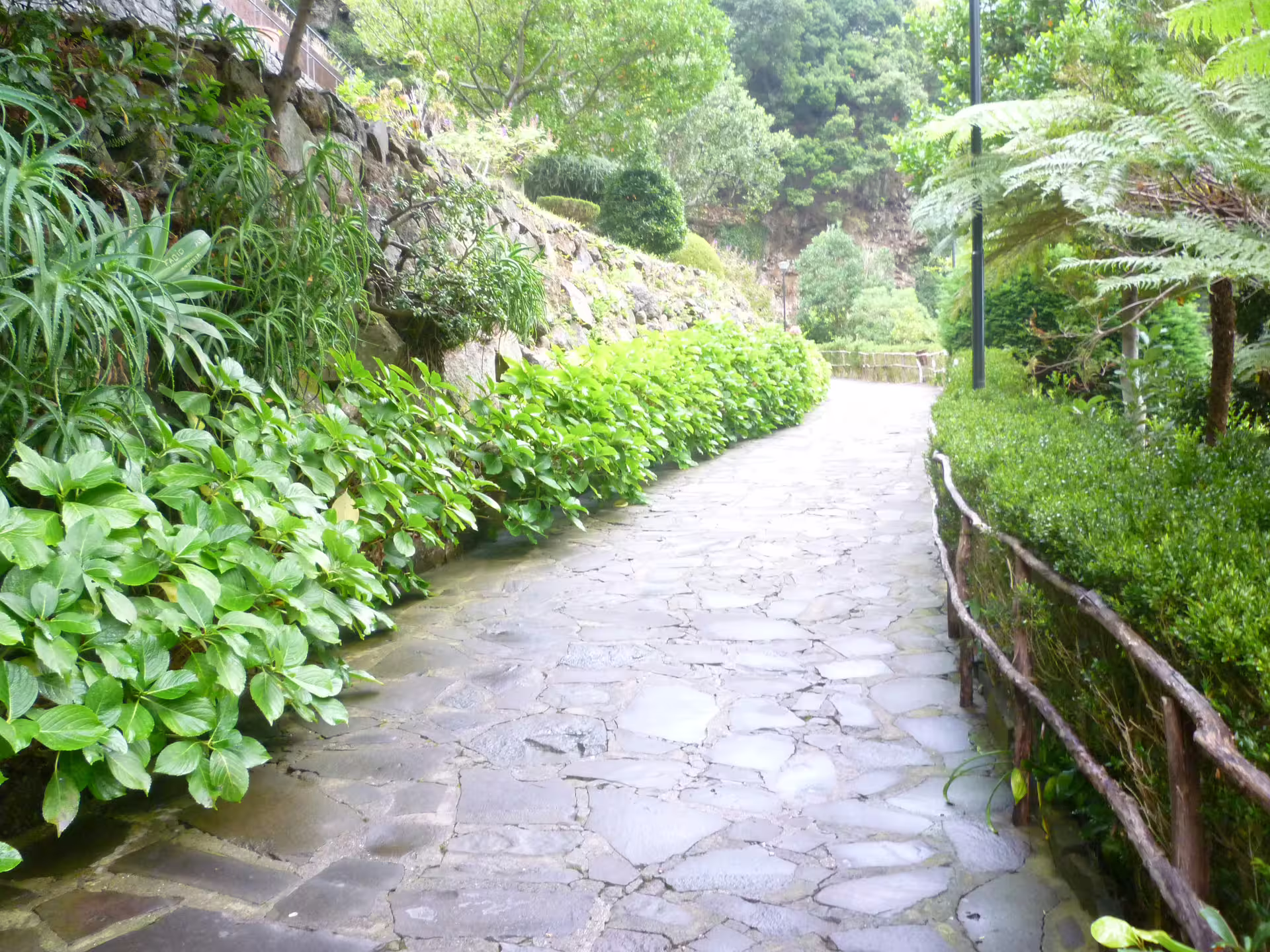 Lush garden path with vibrant greenery and stone walkway on Around the Island Tour, perfect for nature lovers.
