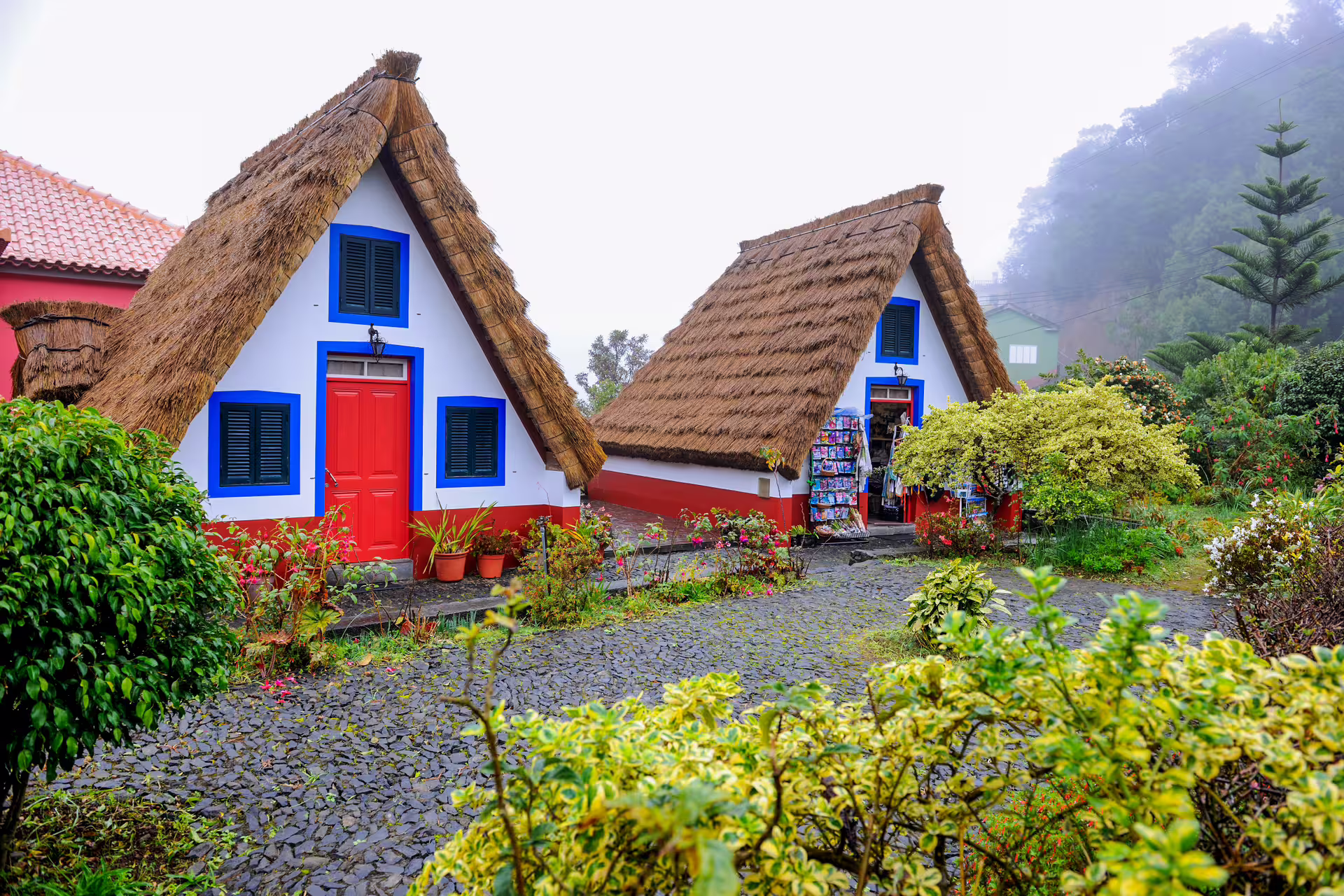Traditional thatched cottages surrounded by lush greenery on the Around the Island Tour.