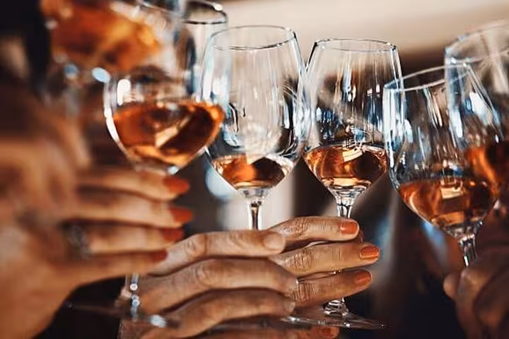 Group toasting with glasses of rosé wine on the Private Arrábida and Comporta Wine Tour from Lisbon.