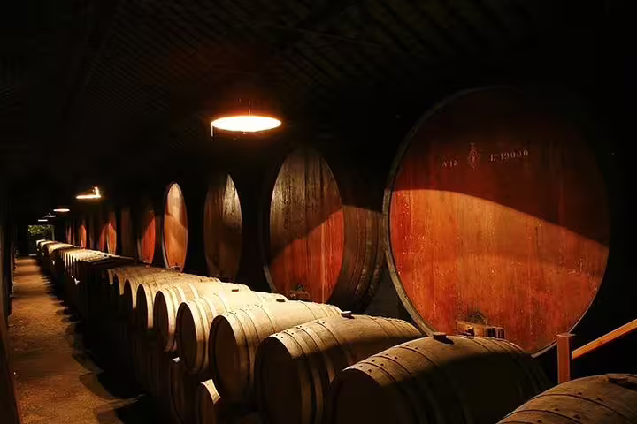 Explore the charm of a traditional Portuguese wine cellar with wooden barrels on a private tour to Arrabida, Sesimbra, and Setubal.