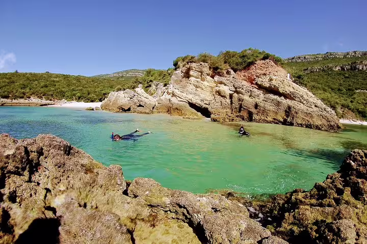 Snorkelers explore crystal-clear waters surrounded by rugged cliffs in Arrábida Natural Park, a perfect day trip from Lisbon.