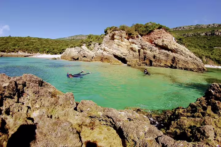 Snorkelers explore the clear turquoise waters of Arrábida Natural Park, surrounded by rugged cliffs and lush greenery.
