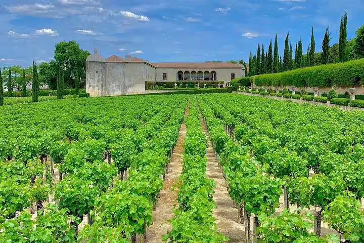 Lush vineyard in Arrábida with historic winery in the background, ideal for wine tasting on a Sesimbra day trip.