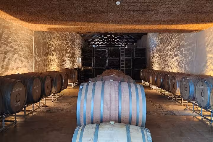 Explore the rustic charm of an Arrábida winery with rows of oak barrels on the Private Wine Tour from Lisbon.
