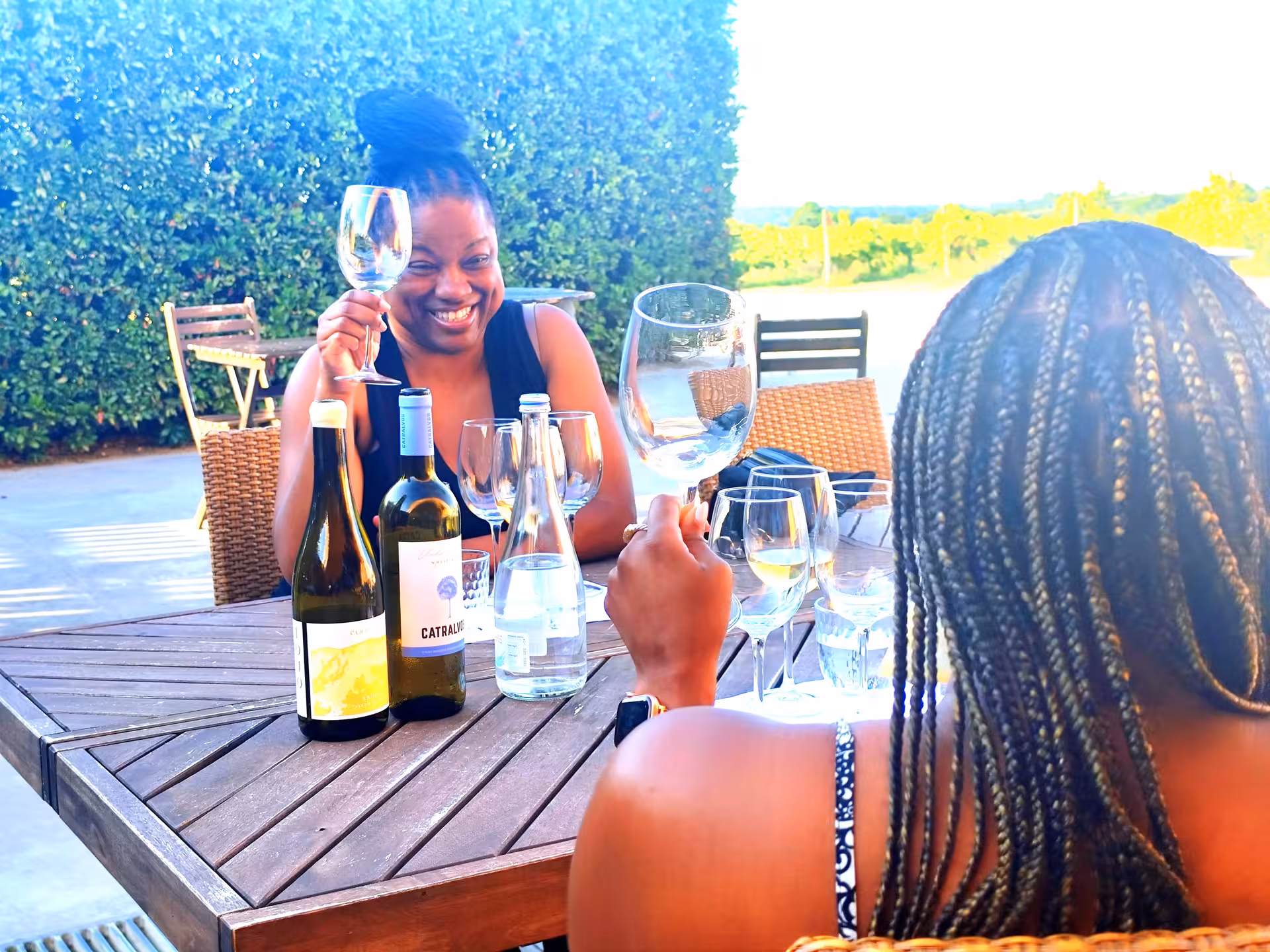 Friends toast with local wine during an Arrábida wine tour and food tasting, enjoying vineyard views in Setúbal