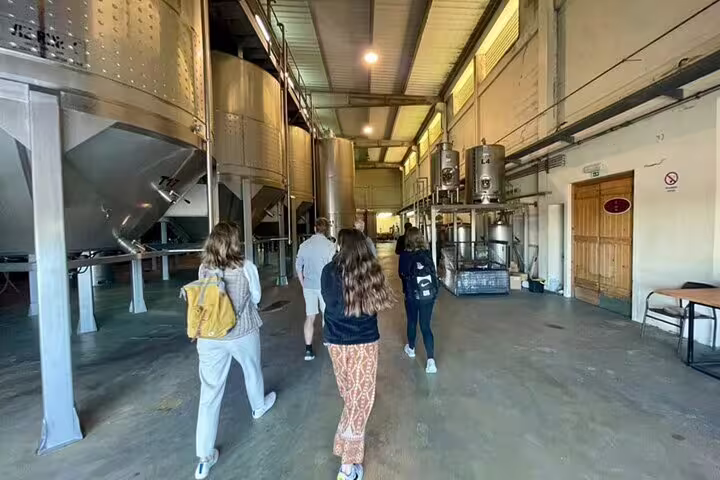 Visitors explore a winery with large steel tanks on the Setúbal and Arrábida all-inclusive food and wine tour from Lisbon.