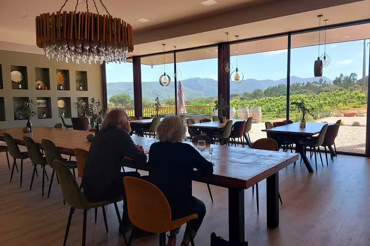 Spacious winery tasting room with panoramic views of Setúbal vineyards, part of the Full Day Arrábida Wine Tour from Lisbon.