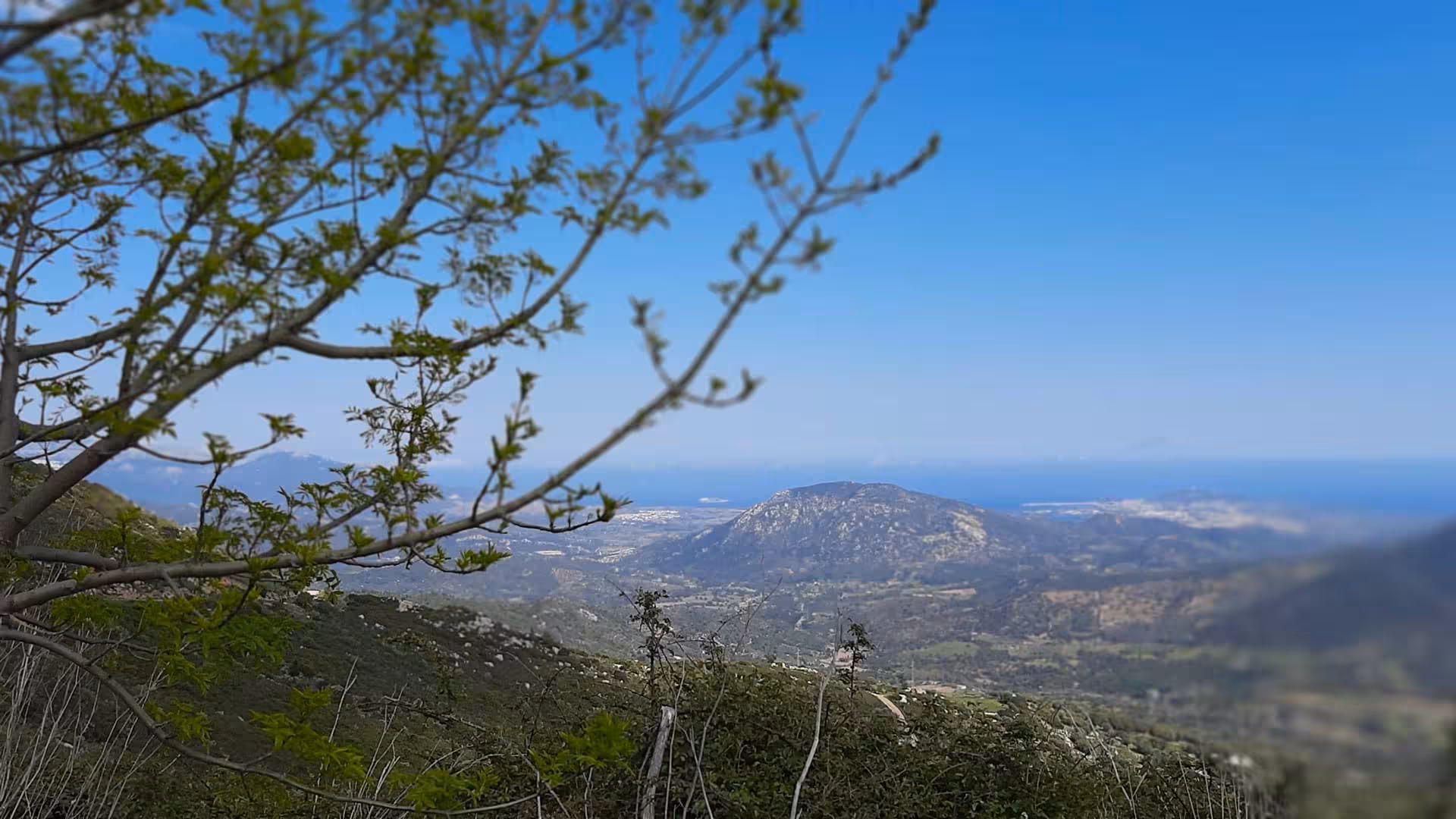 Stunning panoramic view of Sardinian hills with lush greenery and blue skies during Arzana farm tour.
