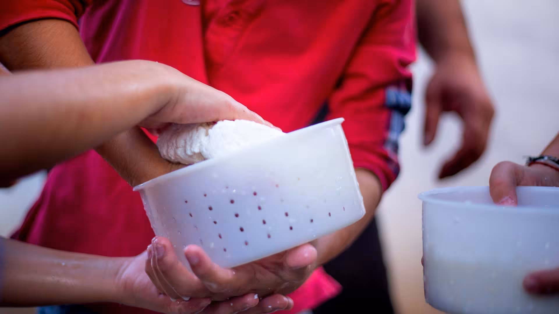 Hands crafting cheese in a traditional farm setting as part of the Arzana shepherd experience.