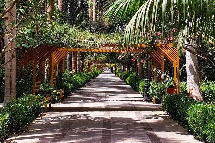 Shaded palm-lined walkway in Aswan Botanical Garden, lush plants on a guided island garden tour