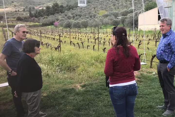 Guests touring a Peloponnese vineyard during private Corinth Canal day trip from Athens with Greek wine tasting