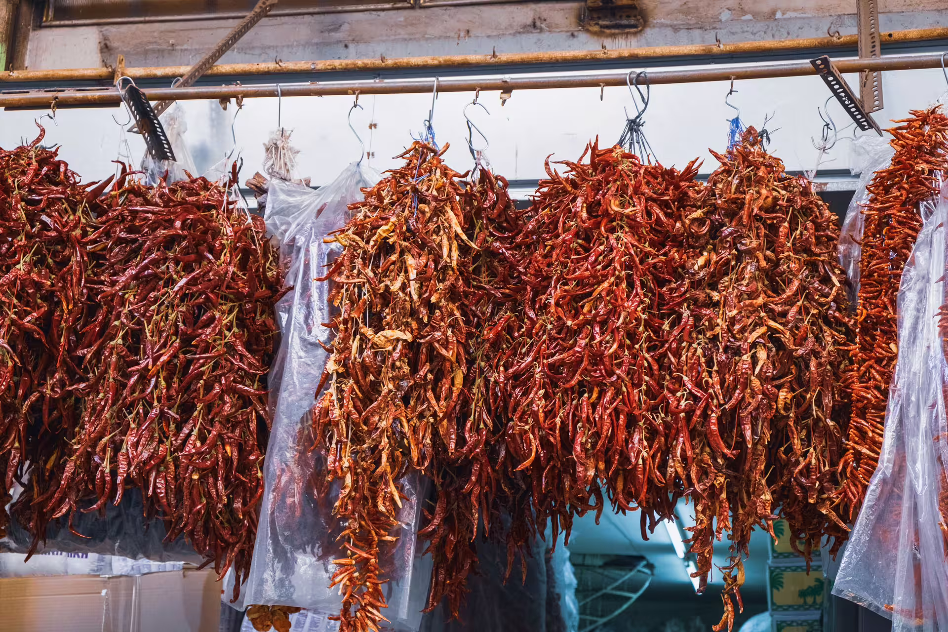 Hanging dried red chili peppers at an Athens market stop on the Taste of Athens small-group afternoon food tour