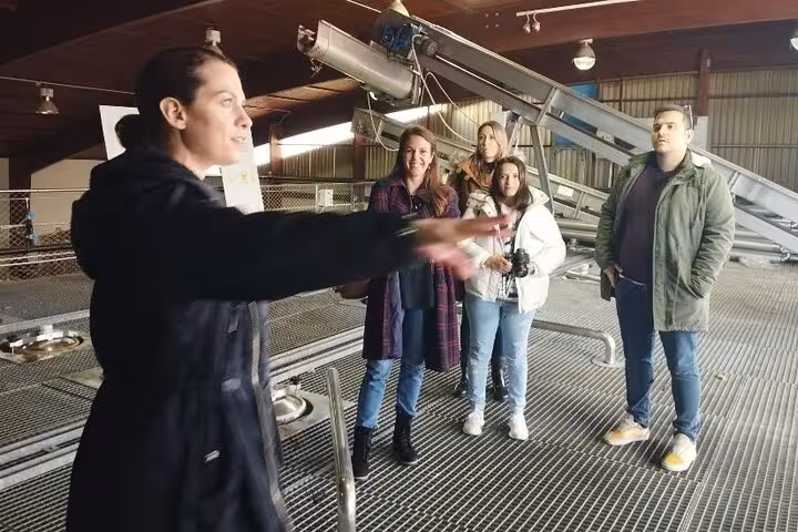 Travelers on a private Athens to Nafplio day trip tour learning at a local olive mill in Greece