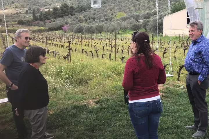 Guests touring a Peloponnese vineyard during a private day trip from Athens to Nafplio with local guide