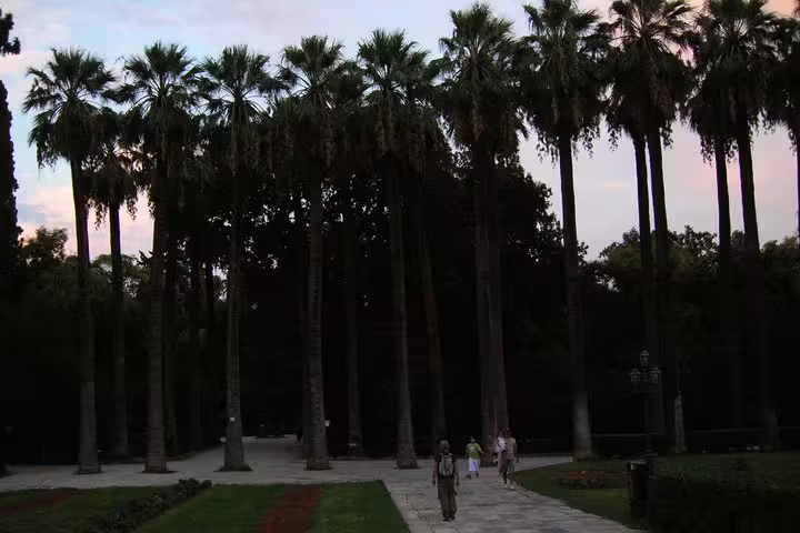 Palm-lined National Garden walkway in Athens, a relaxing stop on an Acropolis skip-the-line walking tour