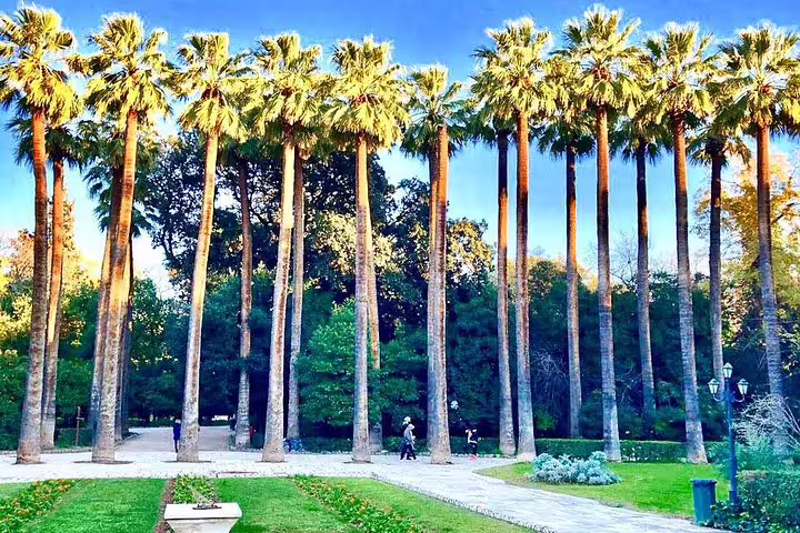 Tall palm trees in Athens National Garden, a relaxing stop on a private 2-hour Athens sightseeing experience