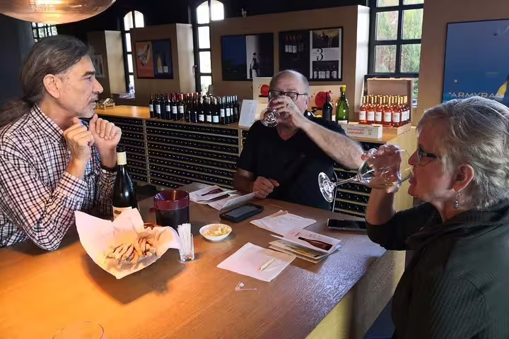 Guests enjoy Greek wine tasting during private half-day Athens sightseeing tour, sampling local varietals