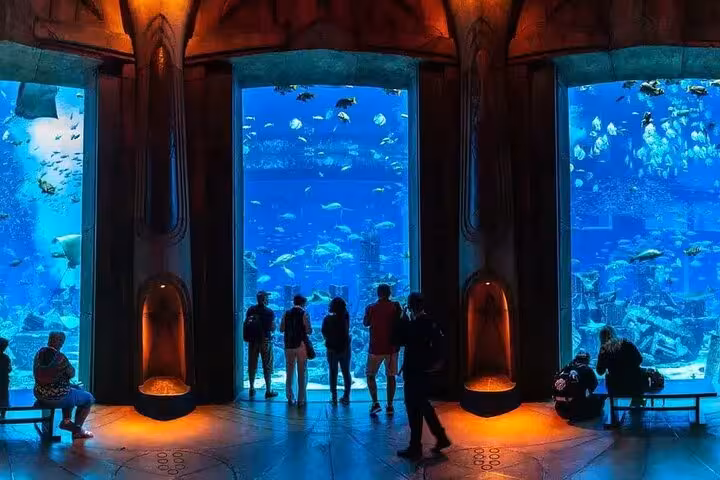 Visitors watching marine life through tall glass panels at Atlantis Lost Chambers Aquarium Dubai, Palm Jumeirah