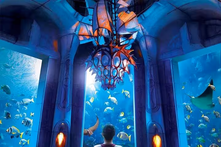 Visitor admiring giant aquarium windows at Atlantis The Lost Chambers Aquarium Dubai with rays and fish