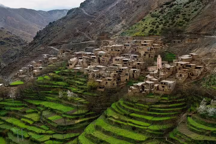 Berber village and green terraced fields in Atlas Mountains scenery on Marrakech to Ouzoud Waterfalls day tour