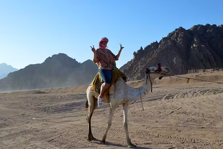 Camel ride in Sinai Desert after ATV quad bike safari adventure from Sharm El Sheikh with mountain views