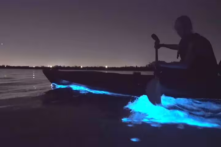 Experience kayaking at Waiake Beach with glowing bioluminescence lighting up the night waters in Auckland.