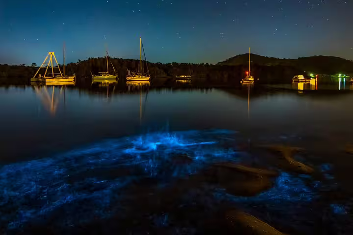 Bioluminescent glow on calm water with anchored sailboats at night, perfect for Auckland kayak tour at Waiake Beach.