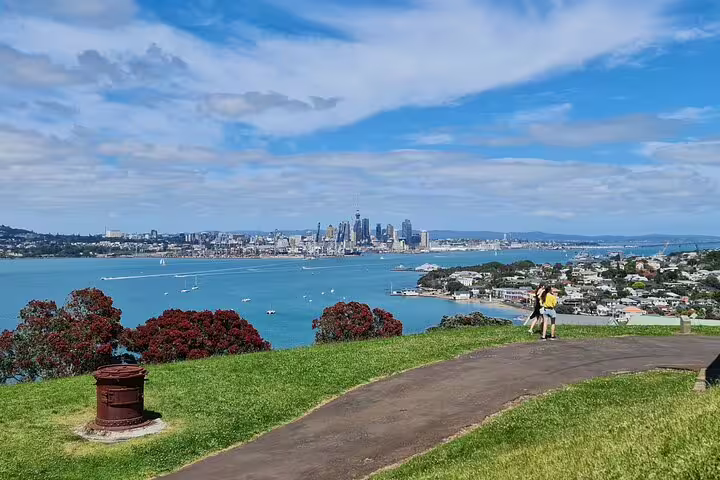 Panoramic view of Auckland city skyline from a lush green hilltop, showcasing the vibrant harbor and skyline.