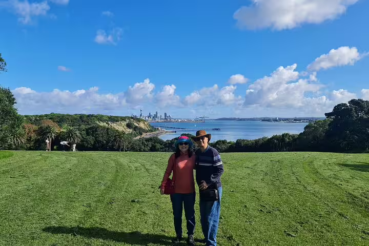Tourists standing on a lush lawn with panoramic views of Auckland's skyline and harbor under a clear blue sky.