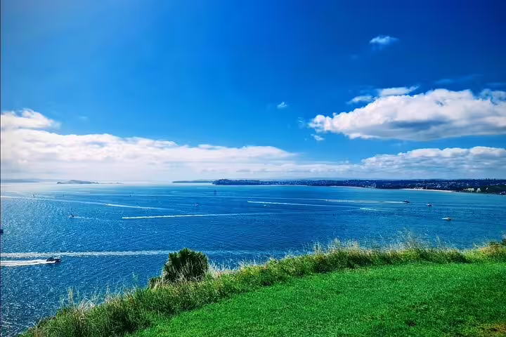 Panoramic view of Auckland's vibrant blue harbor and skyline under clear skies, a highlight of the city tour.