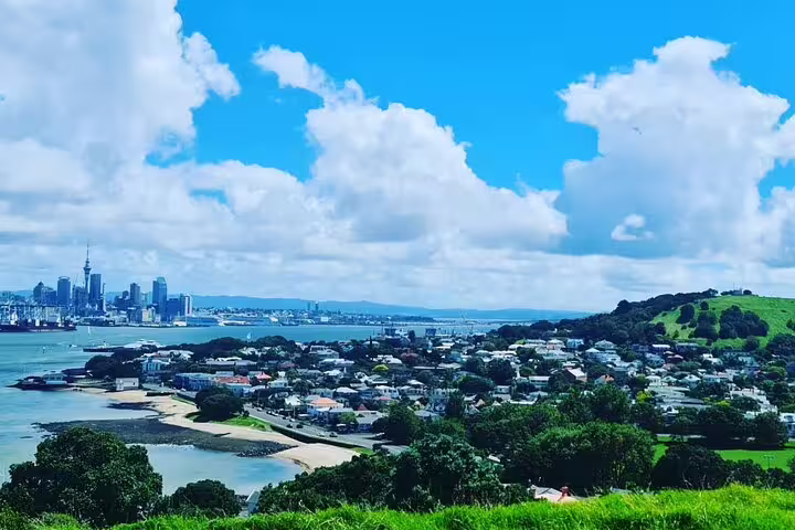 Breathtaking view of Auckland skyline and harbor from a grassy hill, perfect for a private New Zealand day tour.