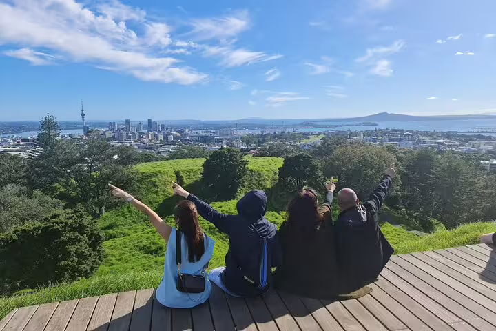 Visitors enjoy panoramic views of Auckland's skyline and lush greenery from a scenic lookout on a private day tour.