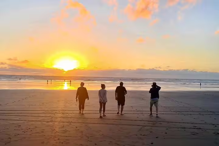 Group strolling along Auckland beach at sunset during romantic tour with winery and thermal pool visit.