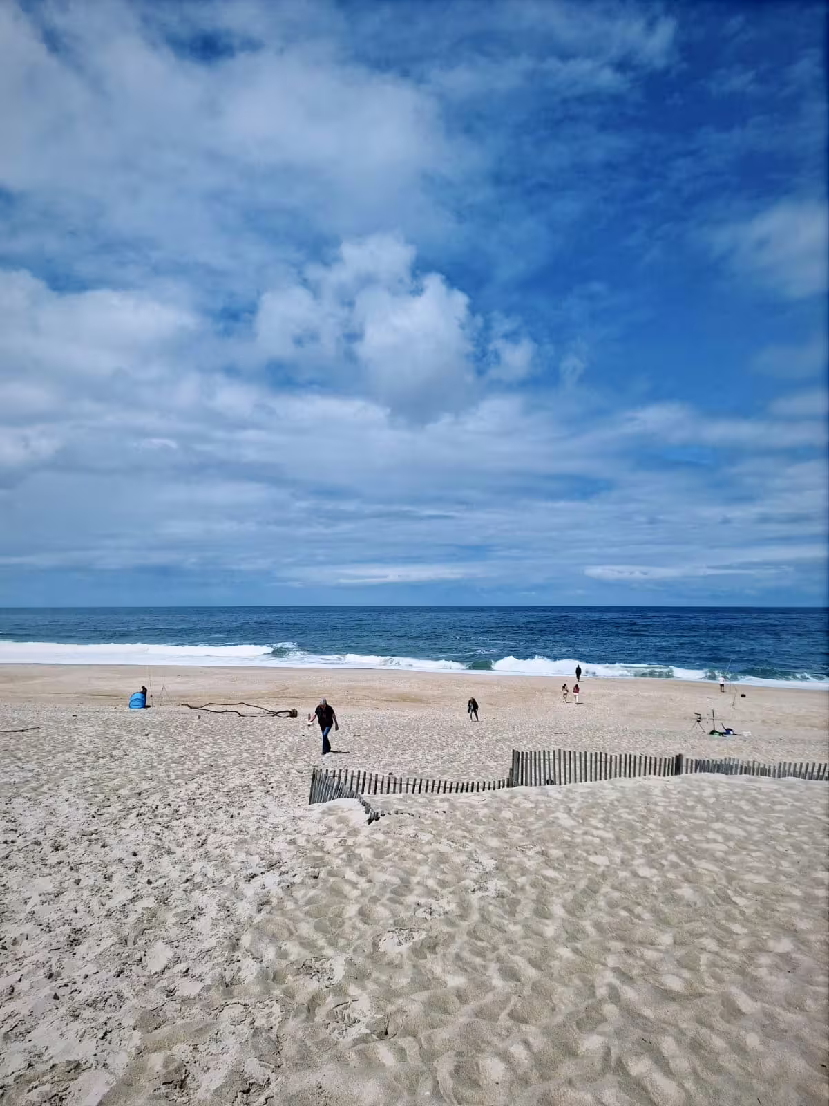 Scenic view of Aveiro's sandy beach with gentle waves under a bright blue sky, perfect for a relaxing half-day tour.