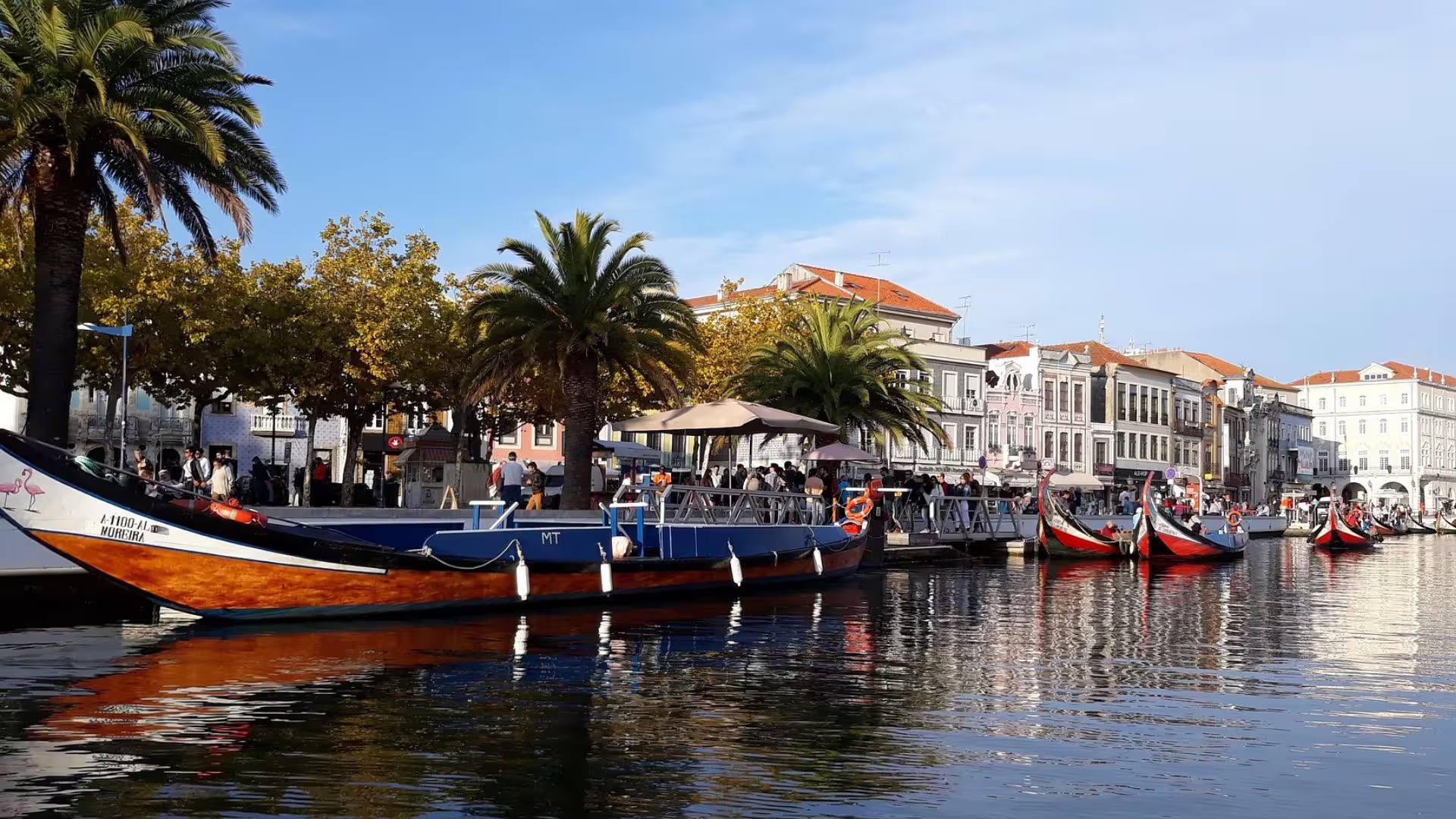 Scenic view of Aveiro canal with traditional boats and palm trees, showcasing vibrant city life and architecture.