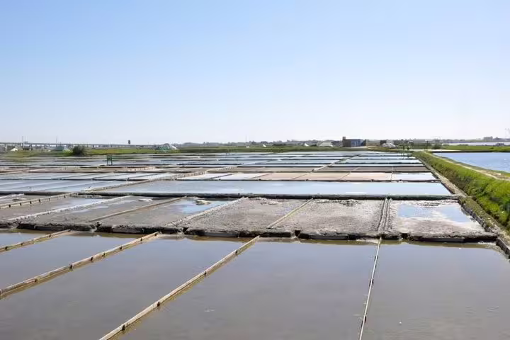 Expansive Aveiro salt pans under a clear blue sky, showcasing traditional salt production on a full-day tour from Porto.