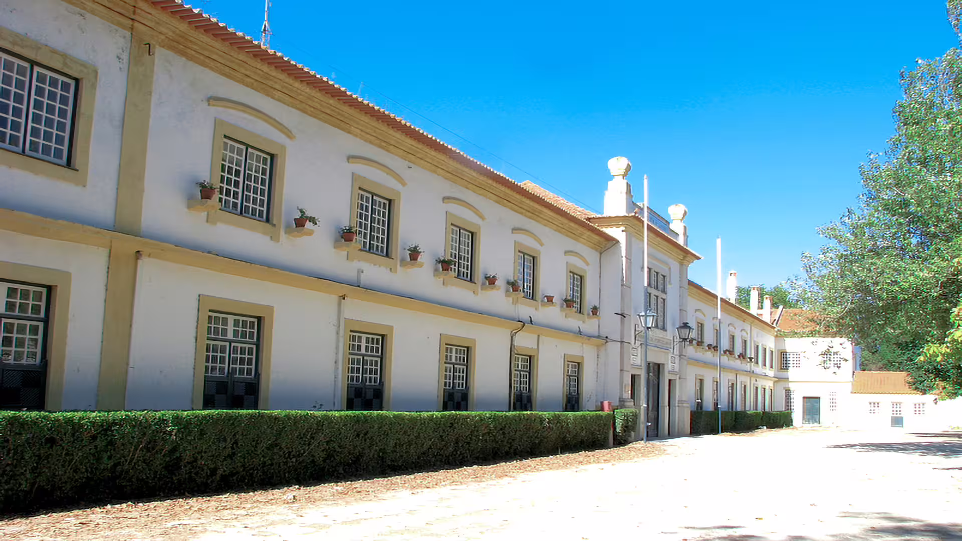 Historic building facade in Aveiro with classic architecture, perfect for private tours exploring Costa Nova's unique charm.