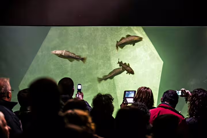 Visitors capturing fish at an aquarium during the Aveiro and Ilhavo Private Tour from Lisbon, showcasing marine life exploration.
