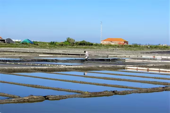 Man working in scenic Aveiro salt flats under clear blue sky, featured in “From Porto: Aveiro, Paiva Walkways, Suspension Bridge and Lunch” tour.