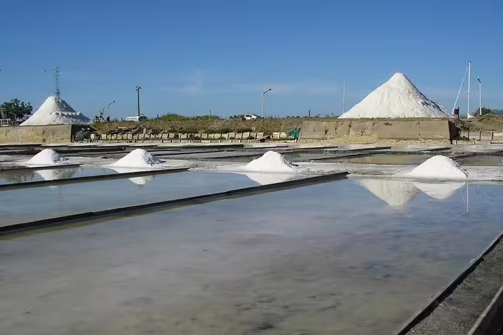 Traditional salt pans in Aveiro with mounds of harvested salt under a clear blue sky.